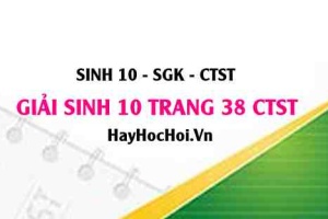 Giải Sinh 10 trang 38 Chân trời sáng tạo SGK